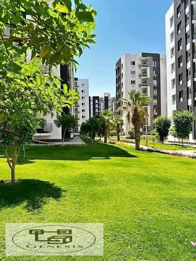 Fully finished immediate receipt apartment, installment over 10 years, 155m in Al Maqsad Compound