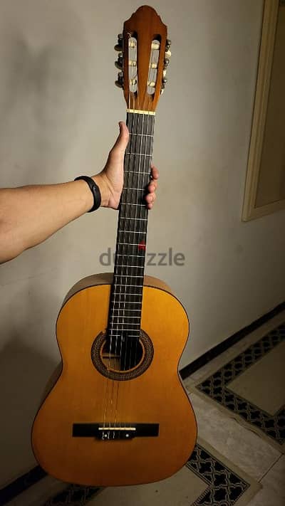 lucia guitar