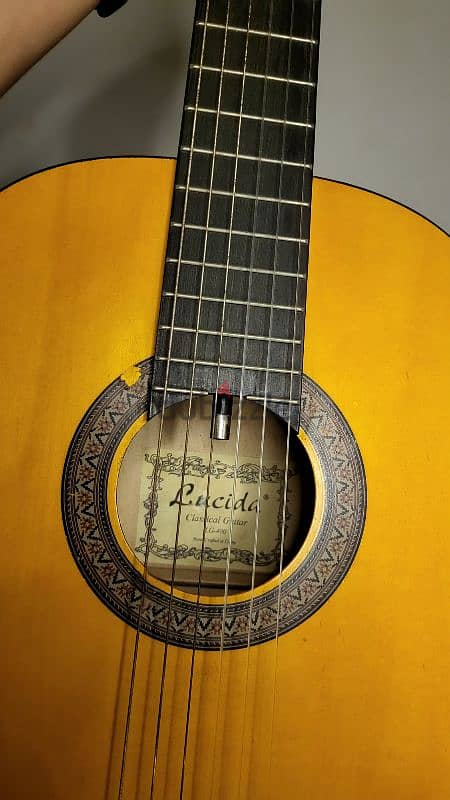 lucia guitar 2