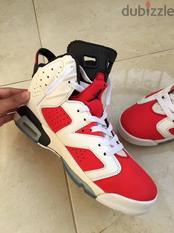 Air Jordan 6 Carmine 1