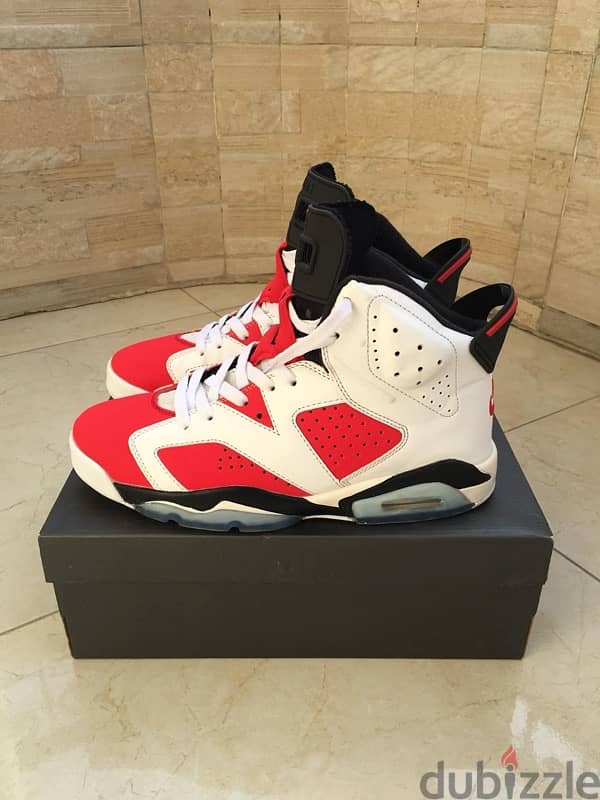 Air Jordan 6 Carmine 4