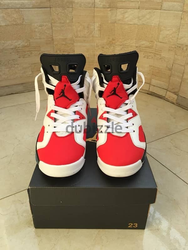 Air Jordan 6 Carmine 5