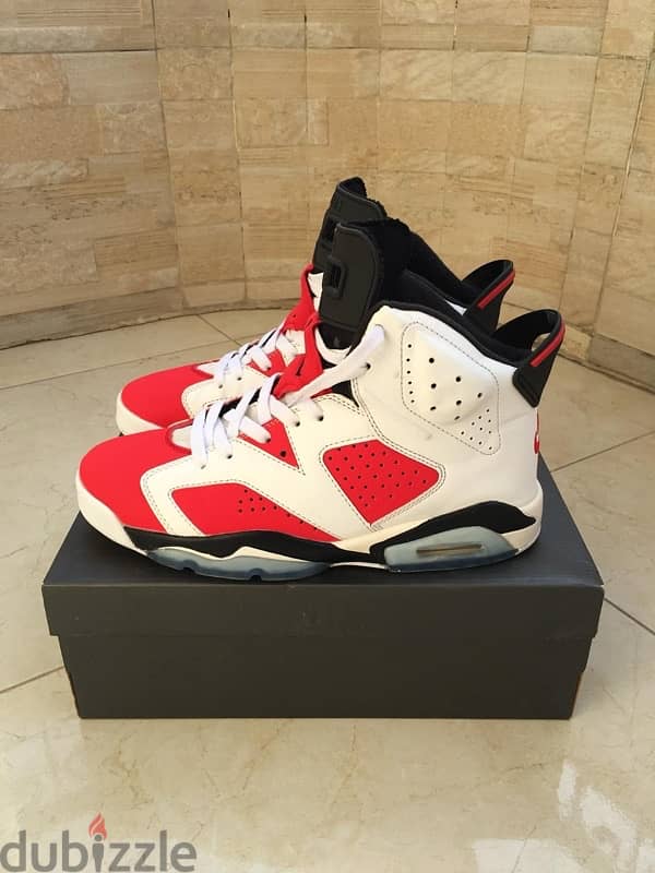 Air Jordan 6 Carmine 6