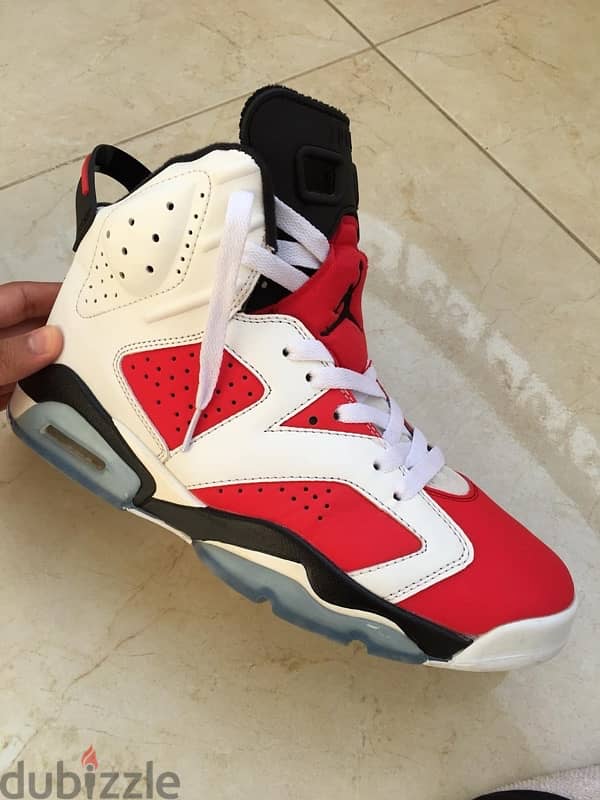 Air Jordan 6 Carmine 9