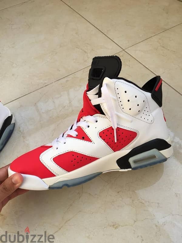 Air Jordan 6 Carmine 10