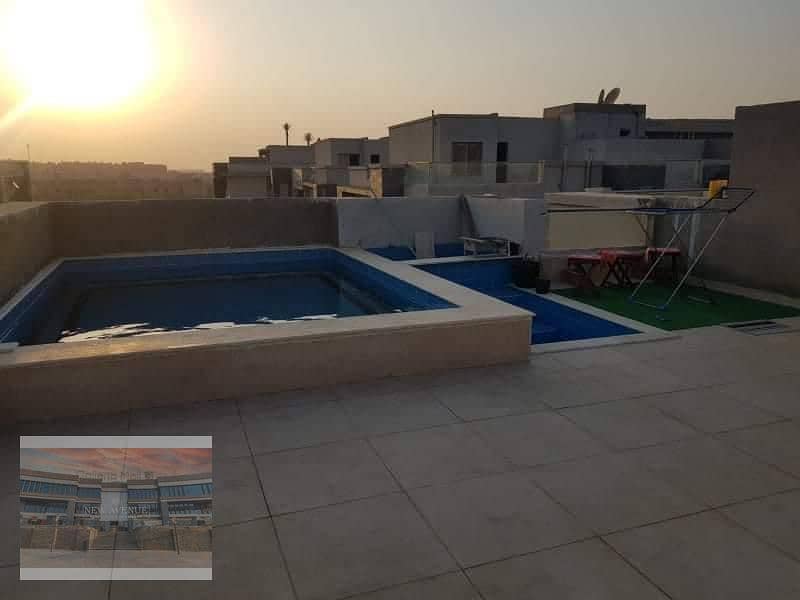 Penthouse Fully Finished Swimming pool on roof in Galleria moon Valley 7