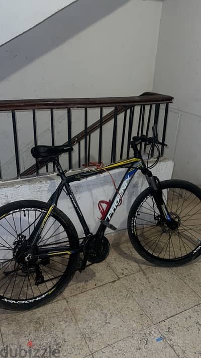 phoneix bike for sale