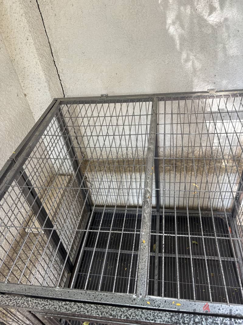 Medium Dog Crate 1