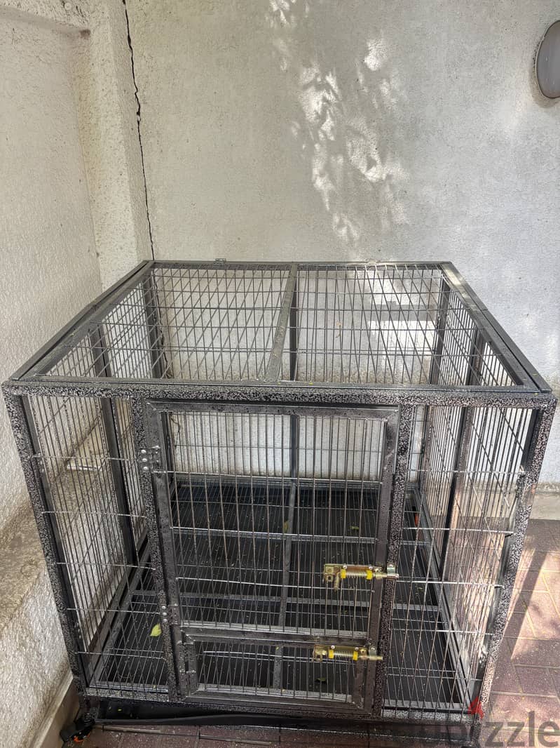 Medium Dog Crate 2