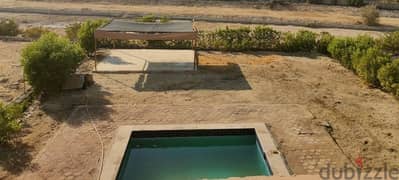 standalone villa private pool ras sedr فيلا حمام سباحه خاص راس سدر 0