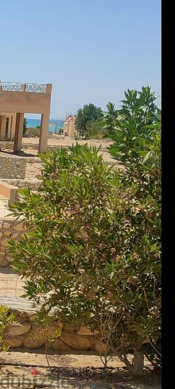 standalone villa private pool ras sedr فيلا حمام سباحه خاص راس سدر 14