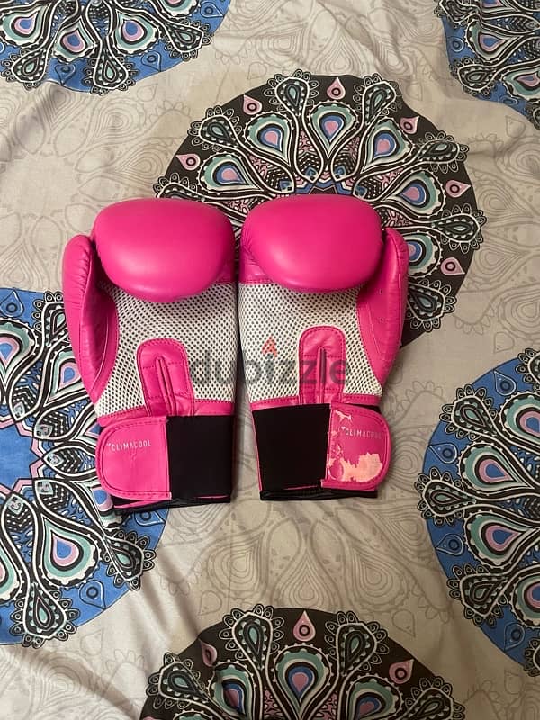 boxing gloves 2