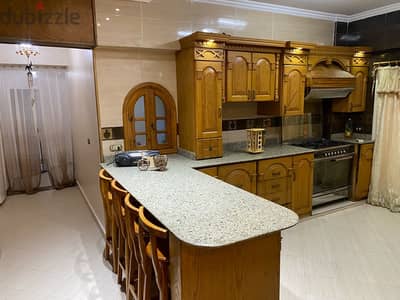 Fully furnished luxurious apartment for rent