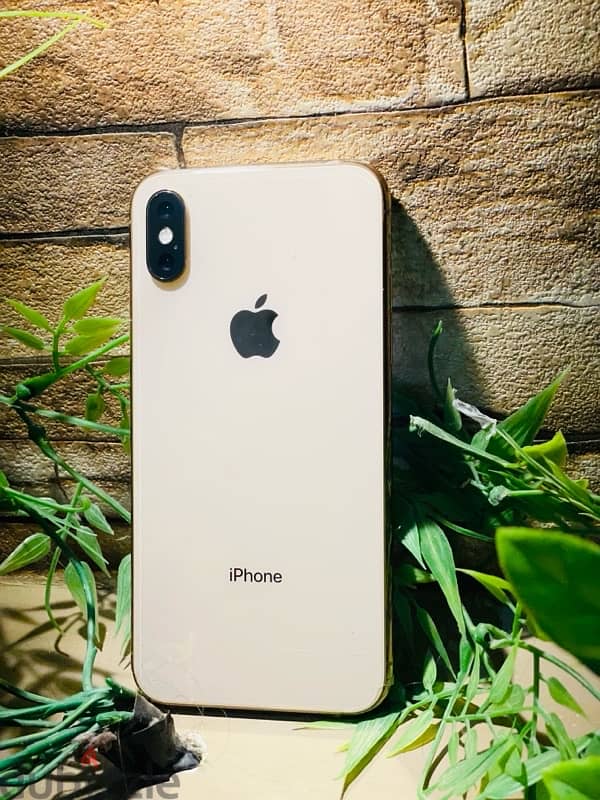 iPhone xs 256 G 2