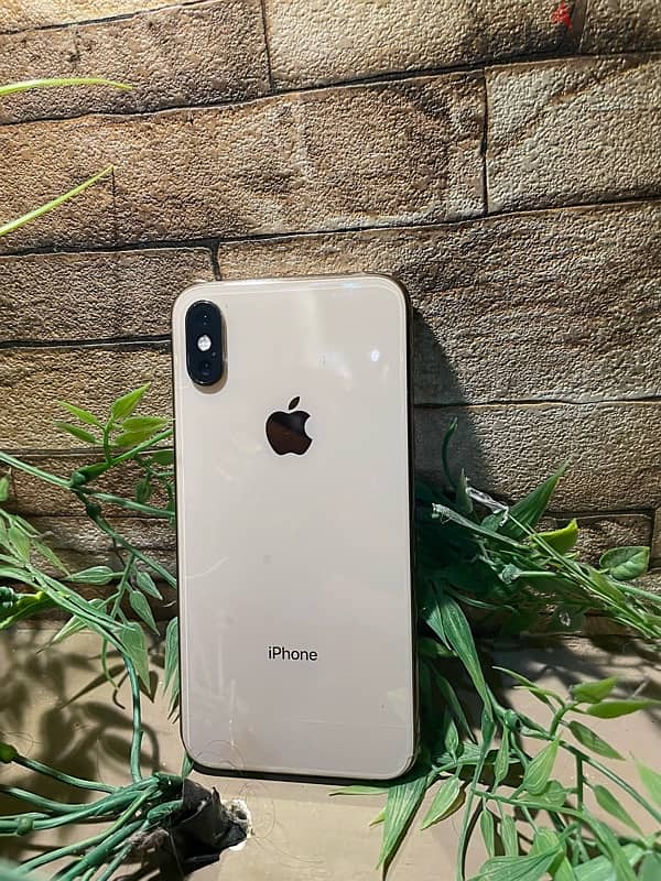 iPhone xs 256 G 5