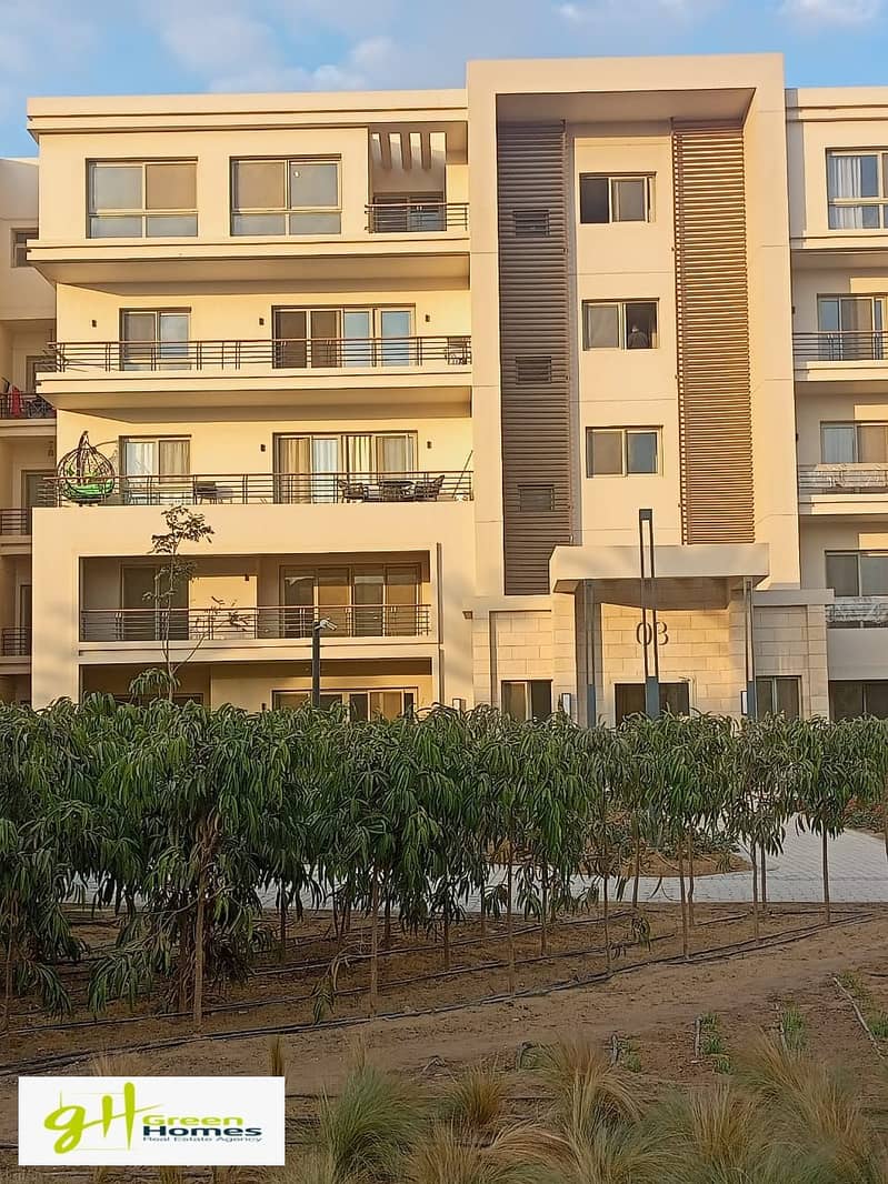 Biggest Apartment 2 Bedrooms in Uptown Cairo 3