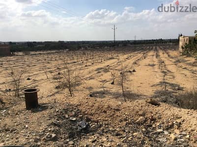 ارض للبيع فى نيو زايد تجارى على طريق مصر اسكندريه مباشر