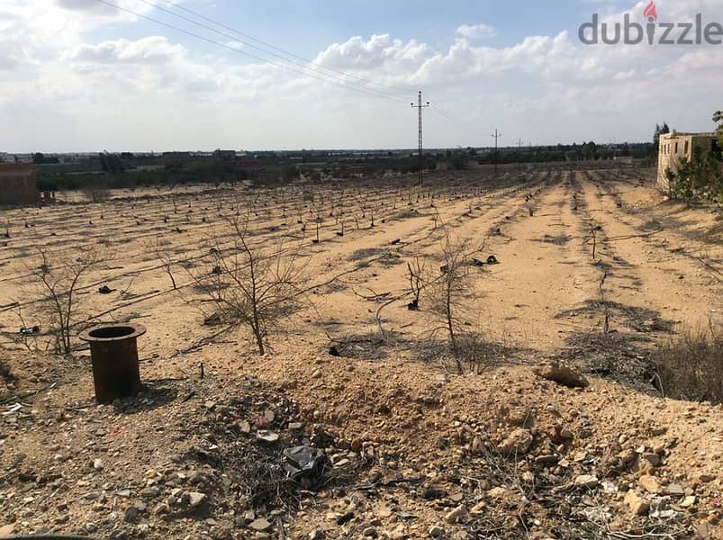 ارض للبيع فى نيو زايد تجارى على طريق مصر اسكندريه مباشر 0