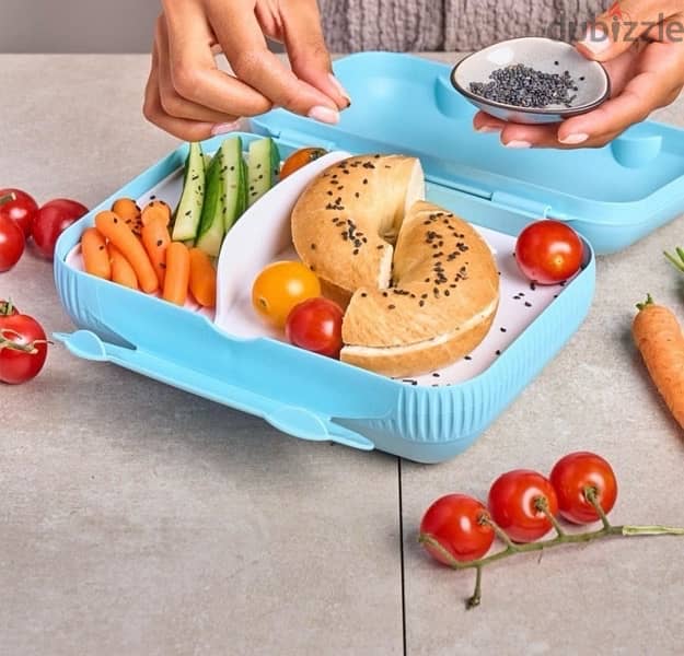 Tupperware Lunch Box 1