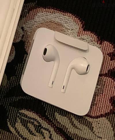 apple headphones