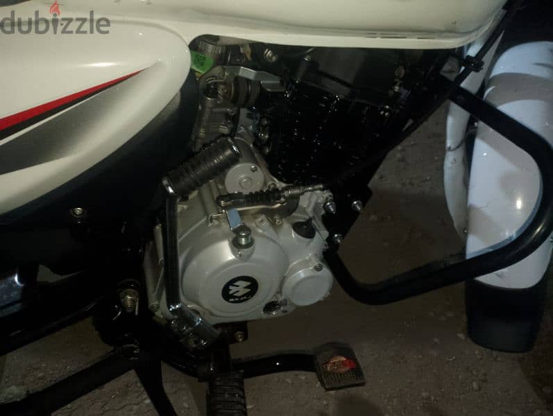 بجاج بوكسر  150cc 3