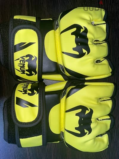 MMA VENUM Gloves