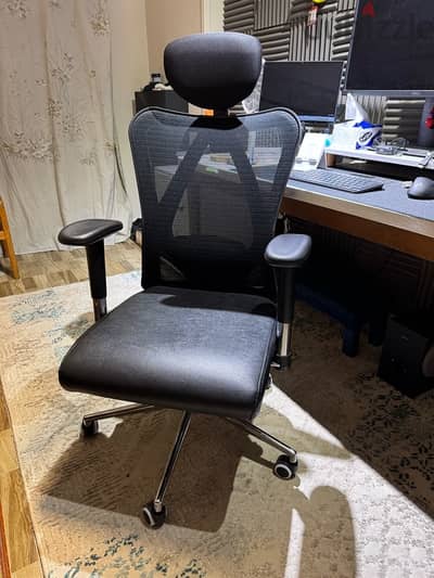 Ergonomic Office Chair