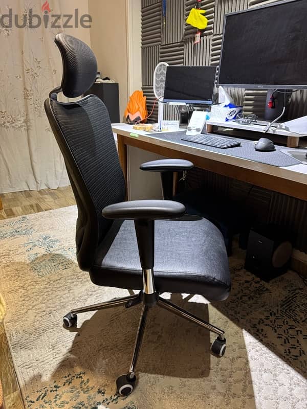 Ergonomic Office Chair 1