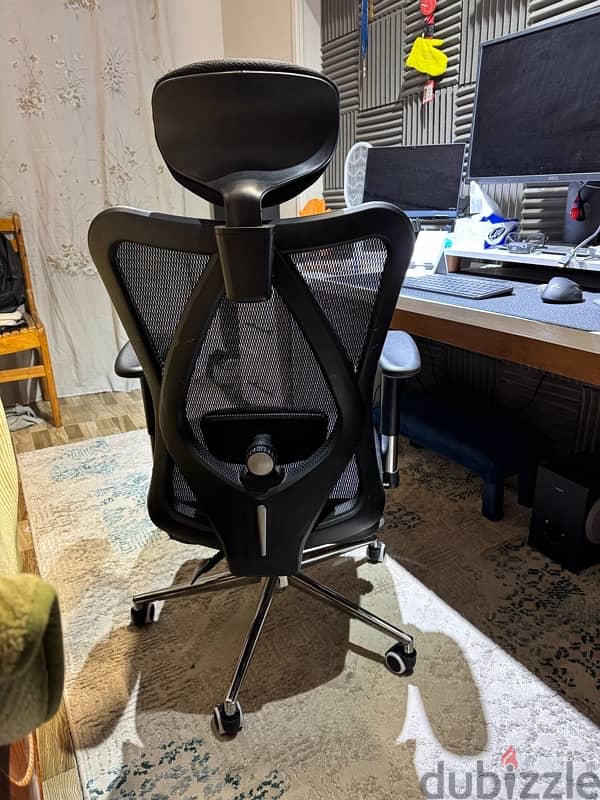 Ergonomic Office Chair 2