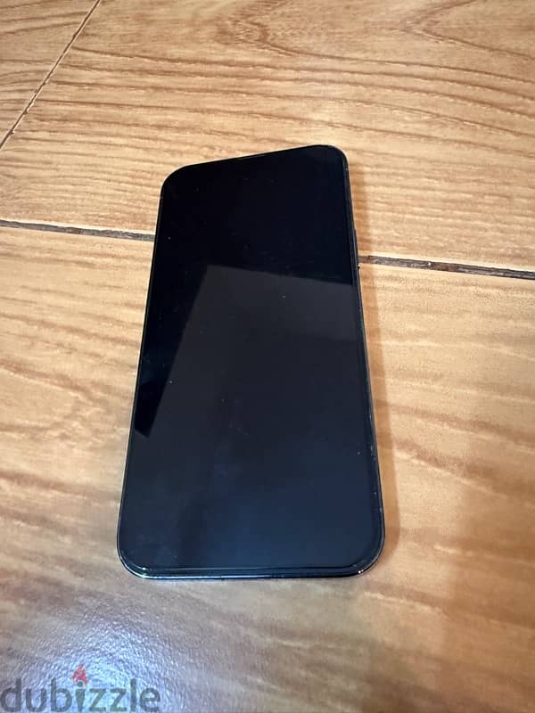 iPhone 13 Pro Max 256 1