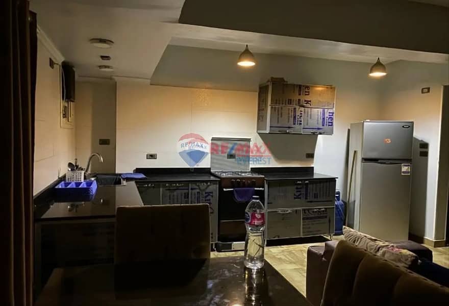 Fully furnished apartment for rent in Mossadak Street - Dokki 7