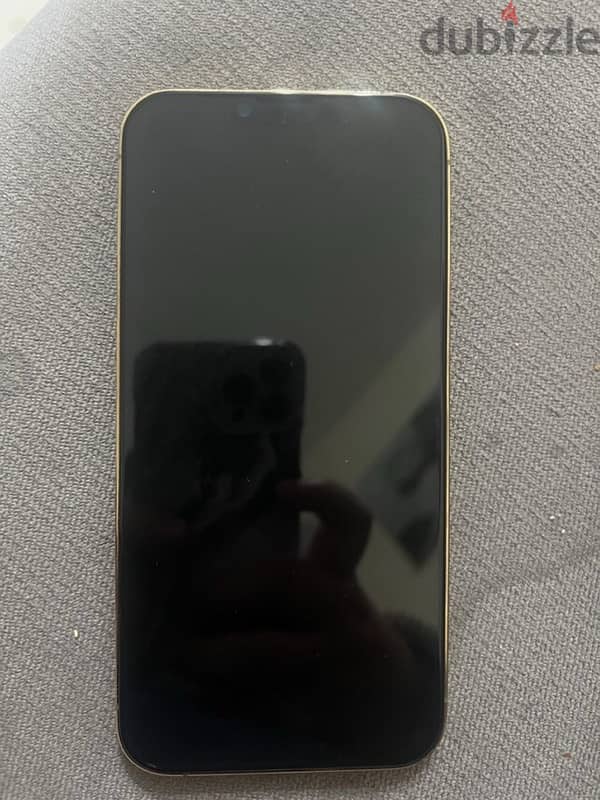 iphone 13 pro max 128g 1