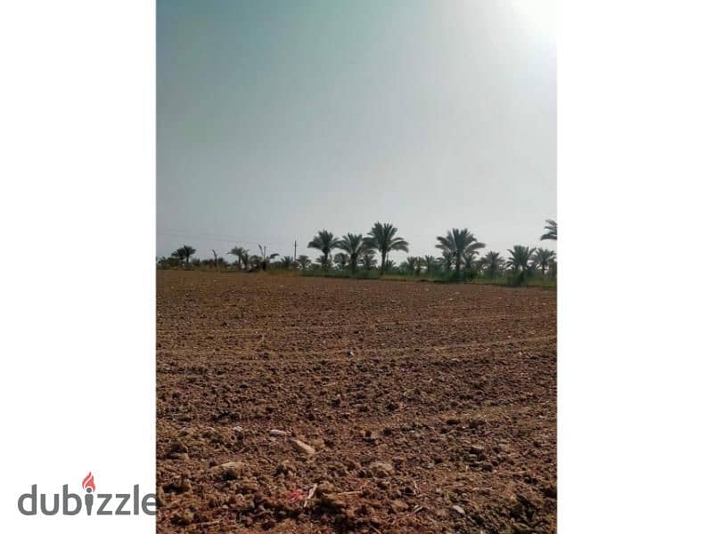 Distinctive plot of land 150 acres - Sphinx City 11