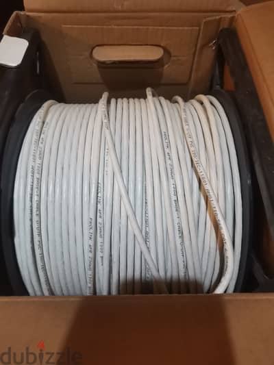 Cat6