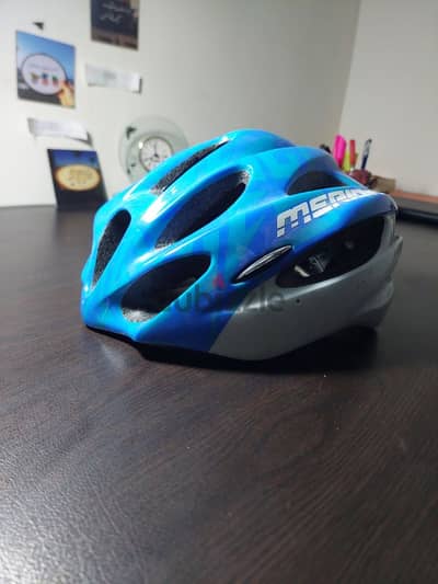 helmet