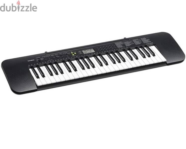 Casio Keyboard CTK-240 1