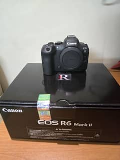 Canon R6 Markii 0