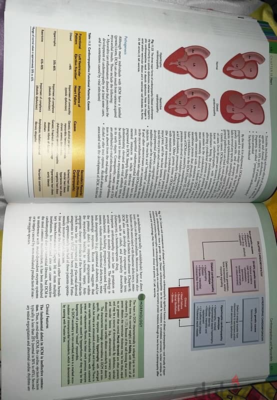 كتاب robbins basic pathology 1