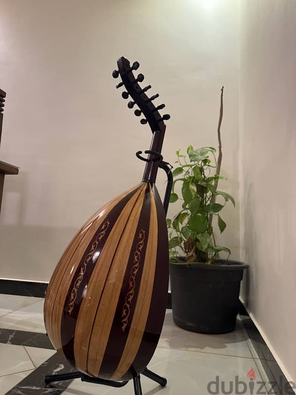 Egyptian oud - عود مصري 5