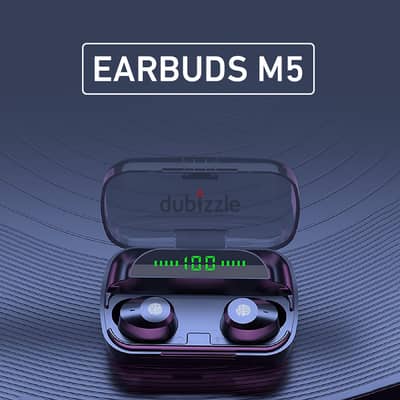 EARBUDS