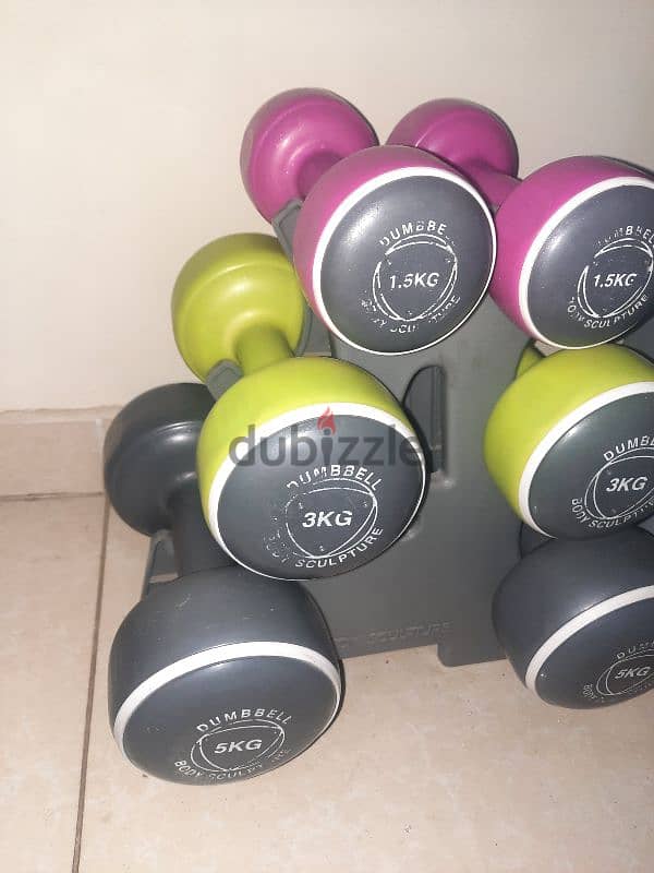 ستة قطع dumbbells 1