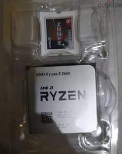 Ryzen 5 5600 0