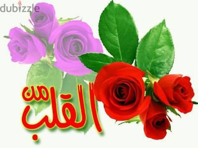 مطلوب نسناس ب3000 ج