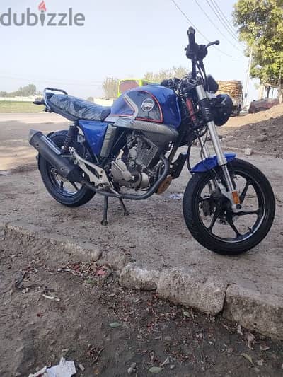 هوجن250v