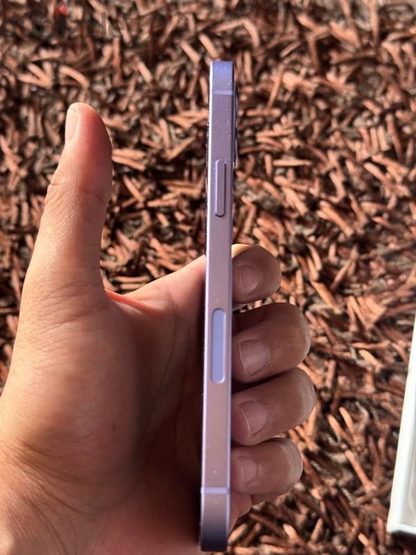 Iphone 12 Purple 1