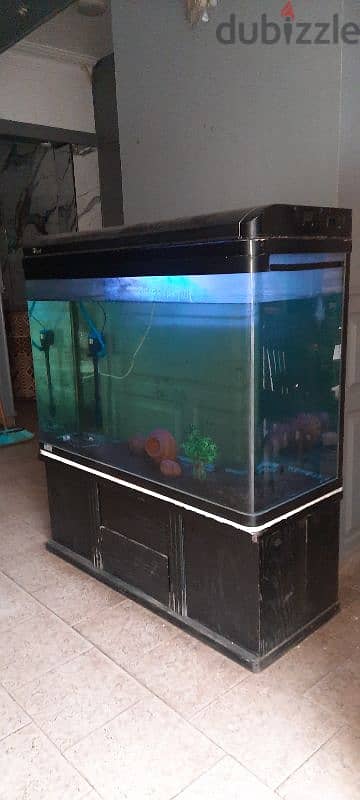 Aquarium