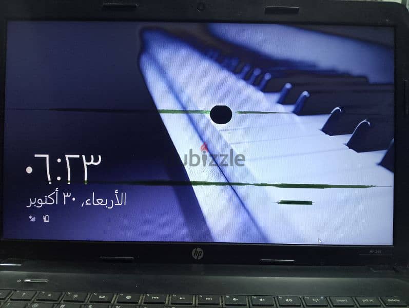 لاب توب hp amd" 7