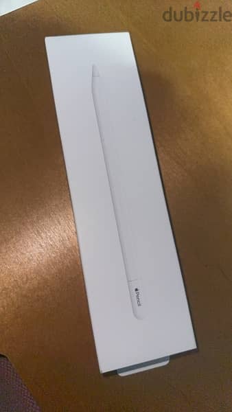 Apple Pencil USB C