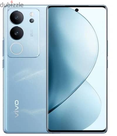 vivo29