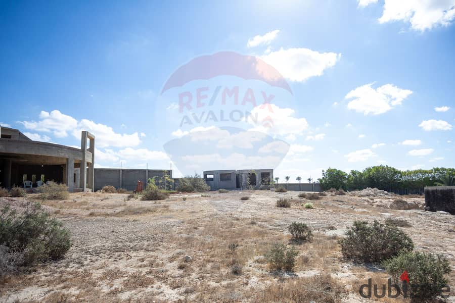 Land for sale 1,000 m King Mariout (Beside Bruxie's) 0